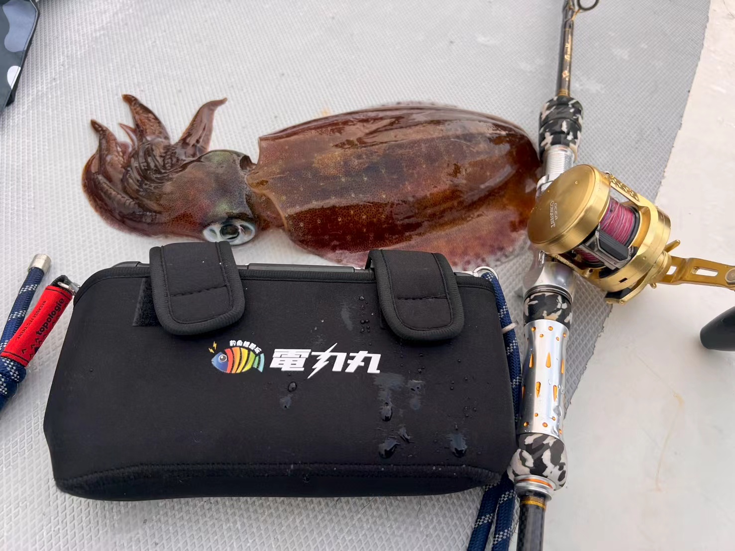 Protective battery bag used onboard during fishing